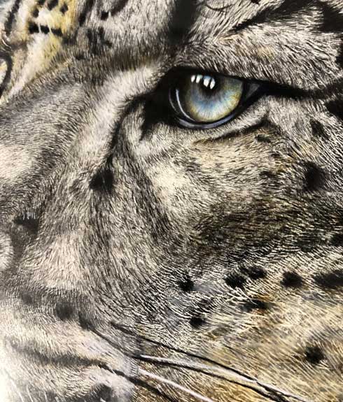 色鉛筆 ユキヒョウ リアル 絵 高校生 メイキング