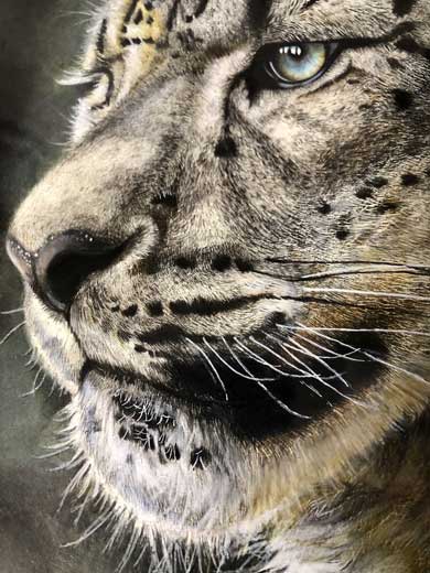 色鉛筆 ユキヒョウ リアル 絵 高校生 メイキング