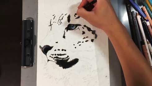 色鉛筆 ユキヒョウ リアル 絵 高校生 メイキング