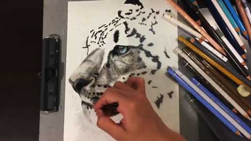 色鉛筆 ユキヒョウ リアル 絵 高校生 メイキング