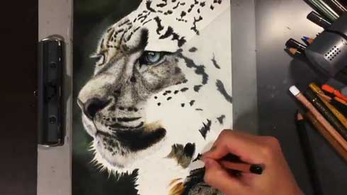 色鉛筆 ユキヒョウ リアル 絵 高校生 メイキング