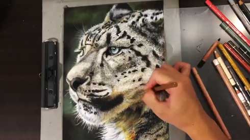 色鉛筆画A4 ヒョウ 色鉛筆画A4 ヒョウ | その他