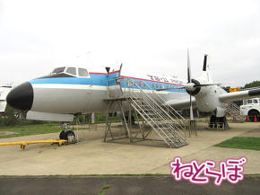YS-11
