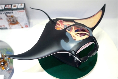 マンタ立体パズル