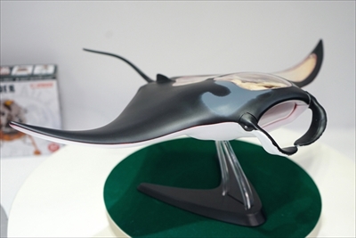 マンタ立体パズル