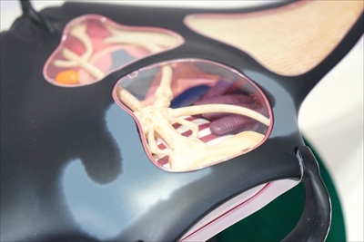 マンタ立体パズル