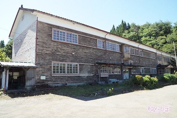 エキセントリック ねとらぼ 欅坂46