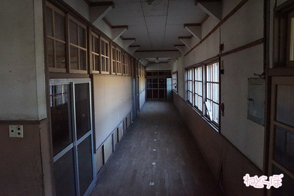 エキセントリック ねとらぼ 欅坂46