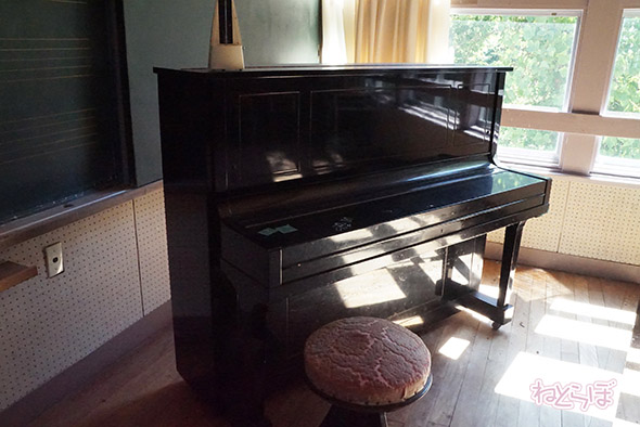 エキセントリック ねとらぼ 欅坂46