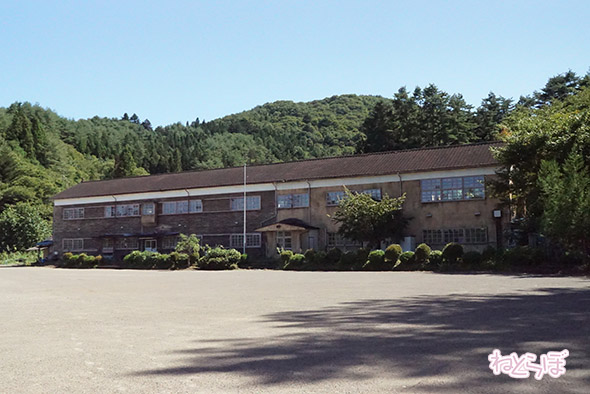 エキセントリック ねとらぼ 欅坂46