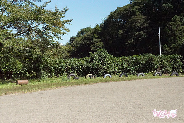 エキセントリック ねとらぼ 欅坂46