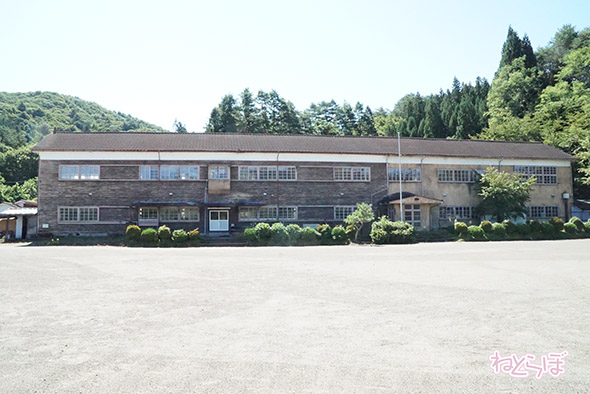 エキセントリック ねとらぼ 欅坂46