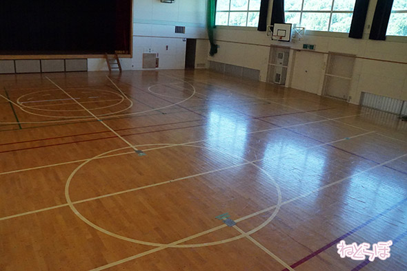 エキセントリック ねとらぼ 欅坂46