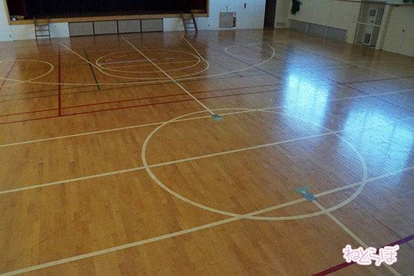 エキセントリック ねとらぼ 欅坂46