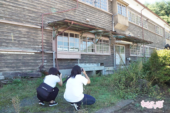 エキセントリック ねとらぼ 欅坂46