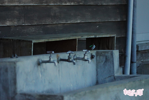 エキセントリック ねとらぼ 欅坂46