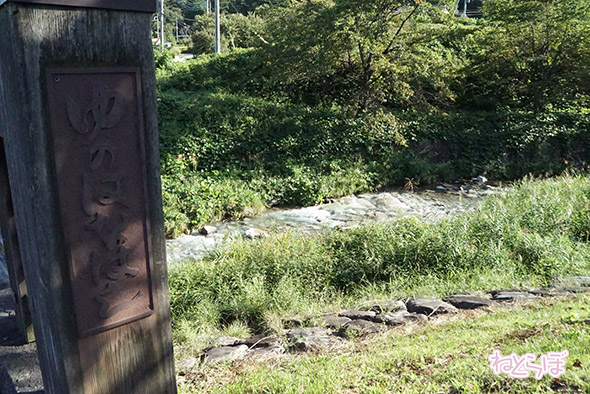 エキセントリック ねとらぼ 欅坂46