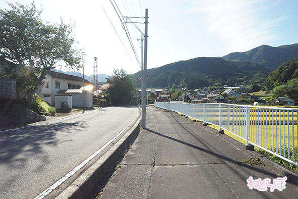 エキセントリック ねとらぼ 欅坂46