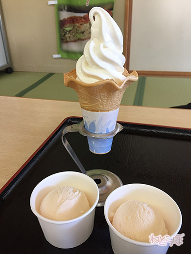 エキセントリック ねとらぼ 欅坂46