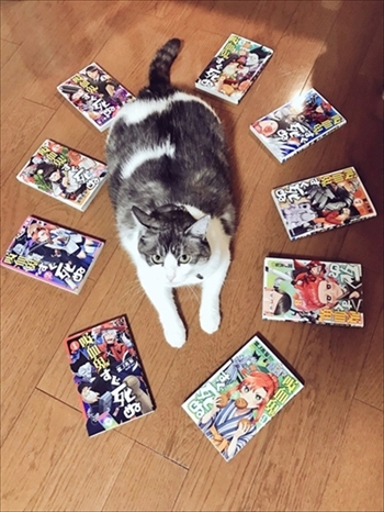 憤慨する猫ちゃん