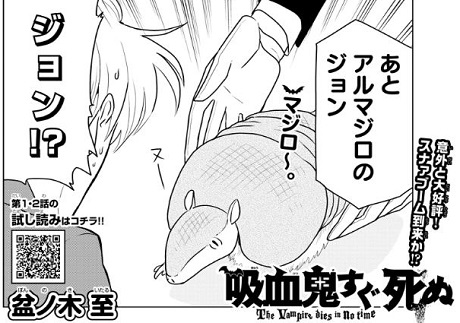 憤慨する猫ちゃん