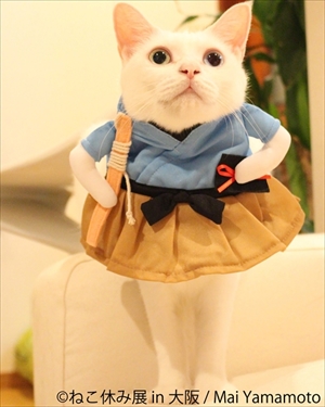 ねこ休み展大阪