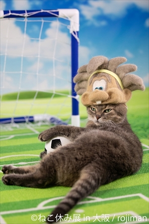 ねこ休み展大阪