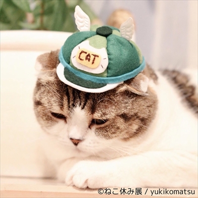 ねこ休み展大阪