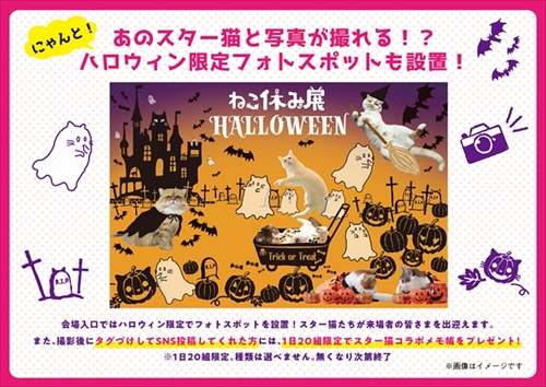 ねこ休み展大阪