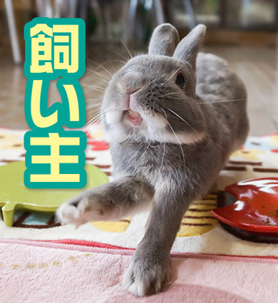 うさぎのふうた