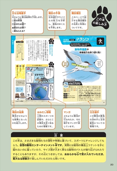 動物スポーツ選手権