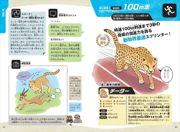 動物スポーツ選手権