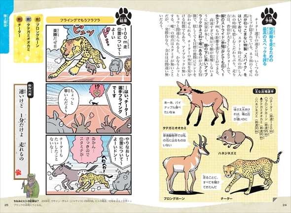 動物スポーツ選手権