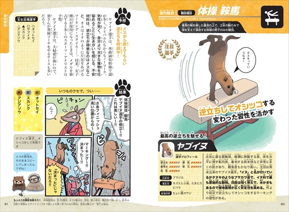 動物スポーツ選手権