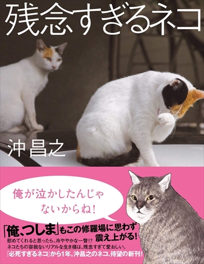 残念すぎるネコ　サイン会＆写真展