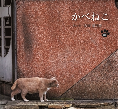 ゆきねこかべねこ写真展