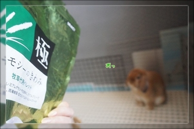 もんじももじじ