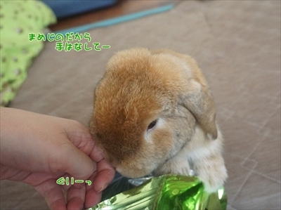 もんじももじじ