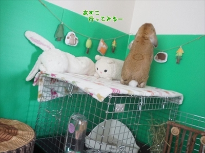 もんじももじじ