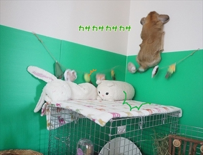 もんじももじじ