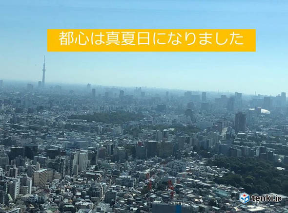 都心で真夏日