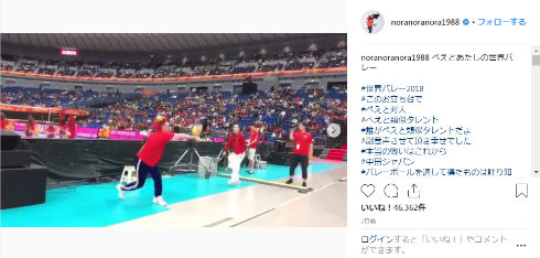 バレーボール 世界バレー 平野ノラ ぺえ 対人レシーブ スパイク