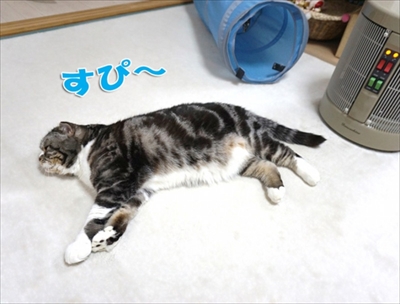 なめネコれおくんピーチくん
