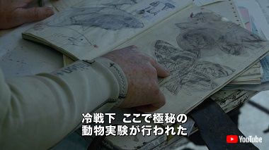 シックスヘッド・ジョーズ サメ映画 多頭サメ マーク・アトキンス