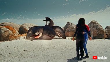 シックスヘッド・ジョーズ サメ映画 多頭サメ マーク・アトキンス