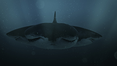 シックスヘッド・ジョーズ サメ映画 多頭サメ マーク・アトキンス