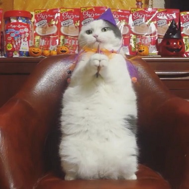 上手にちゅ〜る レーズン君