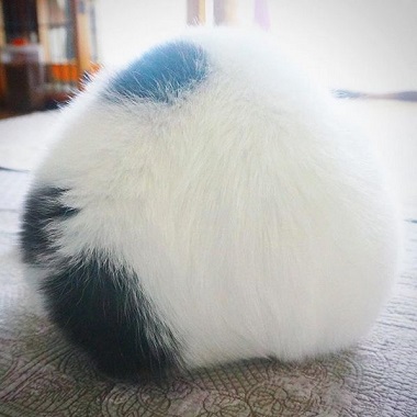 上手にちゅ〜る レーズン君