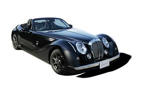 光岡 オープンカー レトロ