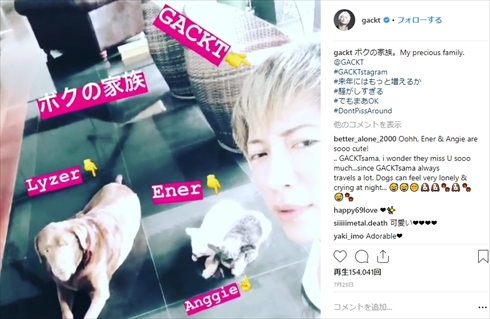 GACKT 愛犬 エネル 死亡 チワワ ペット